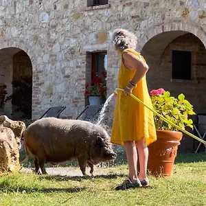 https://agriturismo-sole.it-tuscanyhotel.com
